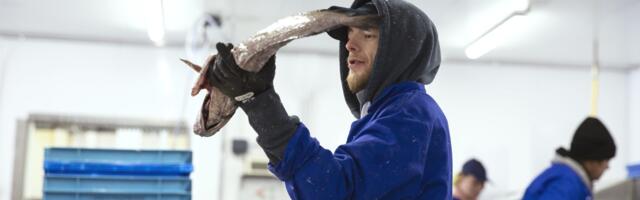Rooser hauls in $23m to streamline Europe’s seafood markets