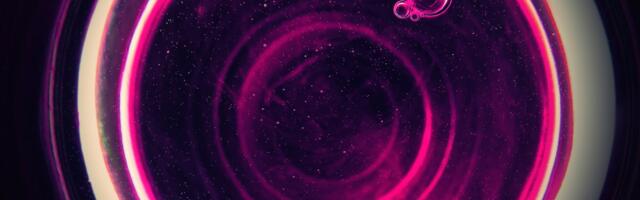 Three ways to manage IT products in a circular way, Circular Electronics Day