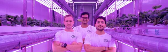 Agritech Startup Fragaria Raises $2 Mn To Sell Fresh Fruits