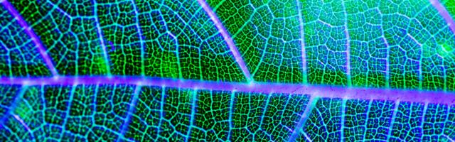 Europe’s edge in energy, software, and the future of compute