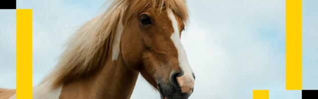 Here is why Ethereum's ‘brutal stumble’ looks exactly like the start of the last bull run: Asia Morning Briefing