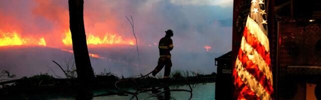 Yes, even most temperate landscapes in the US can and will burn