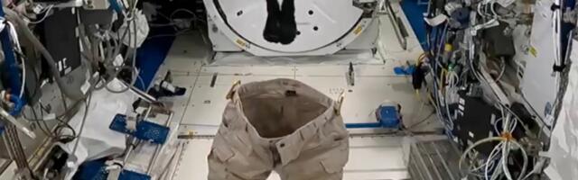 Watch one of the wackiest ‘science experiments’ ever to take place in space