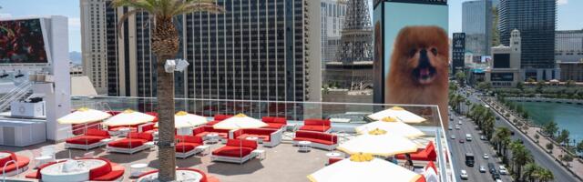 I spent 2 nights at Lisa Vanderpump's brand-new Las Vegas hotel. I think she's ready to become the Queen of Sin City.