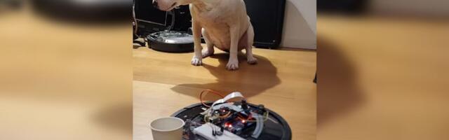 Maker turns old Roomba vacuum into a Raspberry Pi-powered AI dog-feeding robot