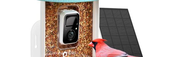 Amazon’s Choice Smart Bird Feeder With Camera and Solar Panel Is Almost $100 Off
