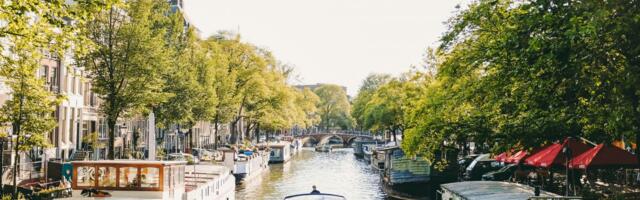 Spotlight on Dutch tech: AI catchup or stagnation?