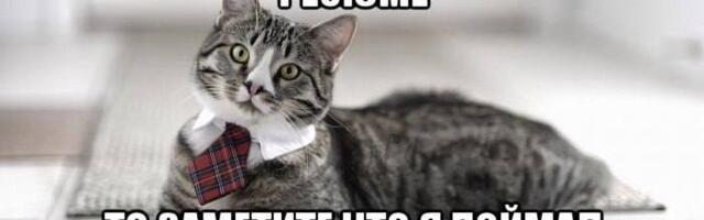 Как сделать резюме в 2025 году, чтобы HR не смог пройти мимо