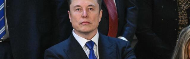 Elon Musk tells Tesla bull Dan Ives to 'shut up' after analyst calls for company oversight of the CEO