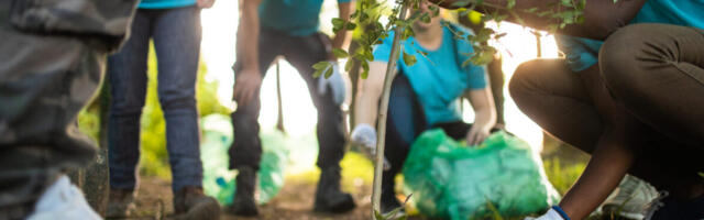 EML Payments and Spain’s Correos to Plant 15,000 Trees Through Mastercard’s PPC Initiative