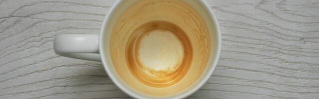 Why All Your Cups Have Lingering Coffee Stains (and How to Get Rid of Them)