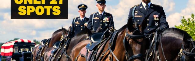 What Army horse soldiers go through in Arlington funeral training
