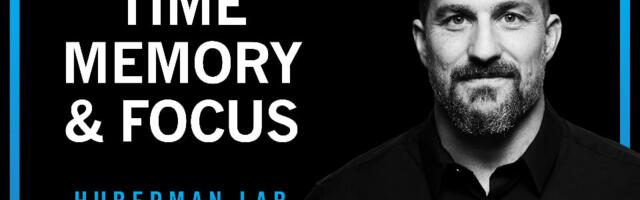 Губерман про внутренние часы: как построить день, чтобы его запомнить