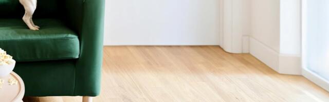 This iRobot Roomba Is 50% Off and 90% Cheaper Than Dyson’s Robot Vacuum