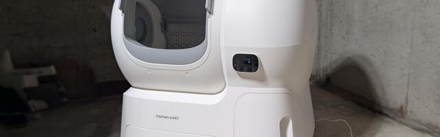 This Automatic Cat Litter Box Convinced Me (But Did It Convince My Pets?)