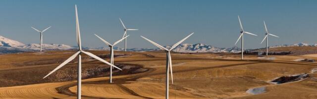 Trump Just Lost His War on Wind Energy