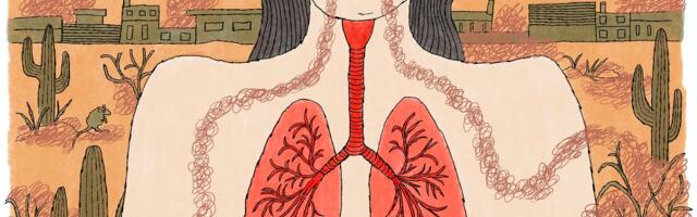 The devil lurking in the dust