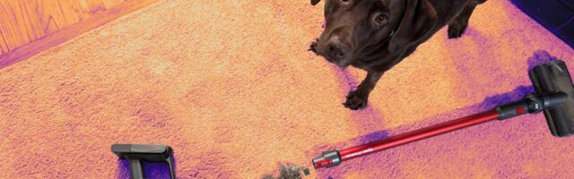 My Favorite Dyson Vacuum Cleans My House and My Car