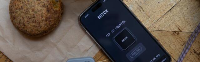 I tried ‘Bricking’ my phone to fix my brain