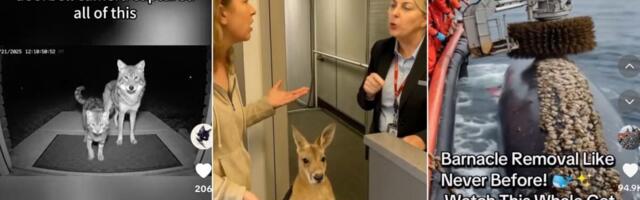 9 ways to spot an AI-generated viral video