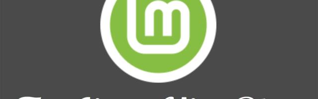 Linux Mint team considers longer gaps between releases in attempt to accelerate development efforts — current six-month cycle means ‘we spend more time testing, fixing, and releasing than developing’