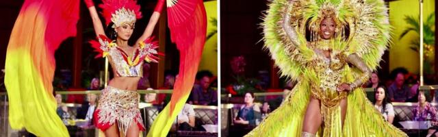 The 27 wildest state costumes from the 2025 Miss USA pageant