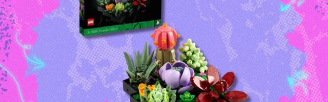 Grab the Lego Botanicals Succulents for a new record-low price at Amazon — save over $10
