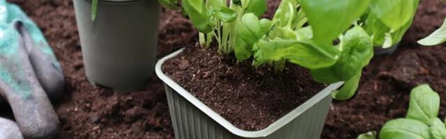 Sweden’s Gaia Biomaterials secures $5 million for global expansion of eco-friendly products