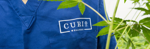 Curio Wellness launches $30M fund to help women and minorities own a cannabis dispensary