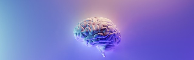 Creative Destruction Lab launches neuroscience stream