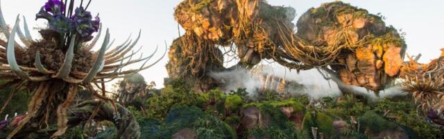 Niles: Disney CEO Bob Iger’s Avatar plans reveal theme parks’ future