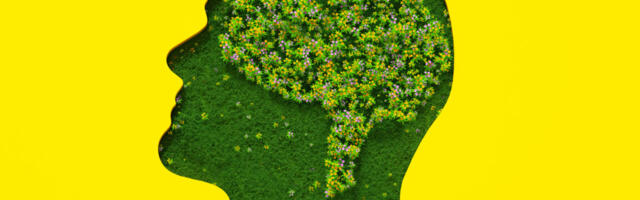 AI on the couch: Anthropic gives Claude 20 hours of psychiatry