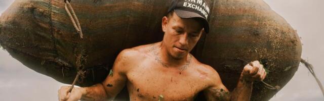 These are the stunning images of the Sony World Photography Awards 2026 — and there are some surprising camera choices among the winners