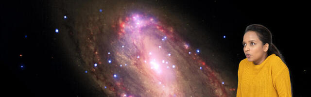 Black holes: what we think we know, we don’t