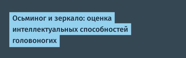 Осьминог и зеркало: оценка интеллектуальных способностей головоногих