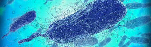 Flesh-Eating Bacteria Have Already Killed Four People in Florida This Year