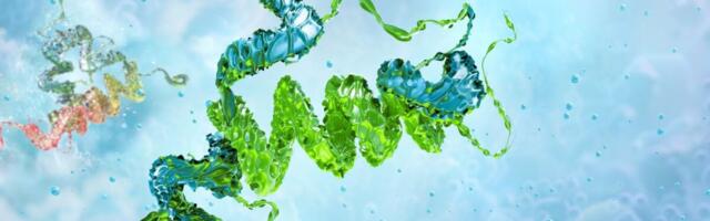 Deadly Proteins Behind Mad Cow Disease Might Help Us Fight Superbugs