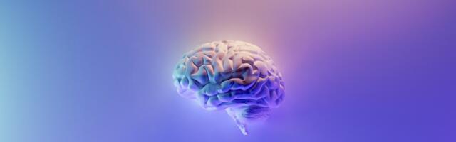 A|I: The AI Times – Did Google discover sentient AI or an employee violation?