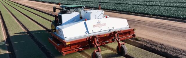 No Hazardous Chemicals! Robot Revolutionizes Weed Control With Precision Lasers