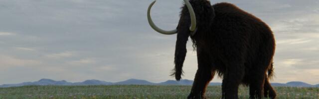 Museum Kept Mammoth Fossils for 70 Years. They Turned Out to Be Something Else Entirely