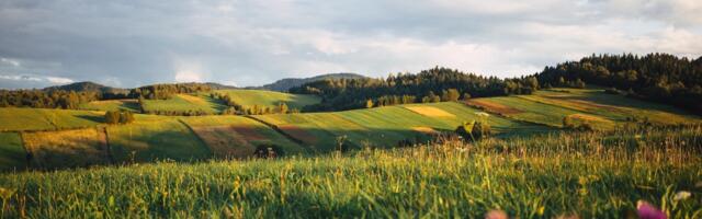 Report: Investment in CEE climate tech on the rise but funding gap remains