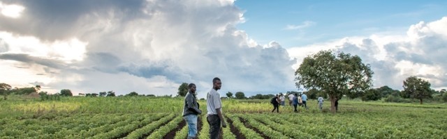 Zambian tech-enabled agricultural startup Good Nature Agro raises $2.1m Series A funding