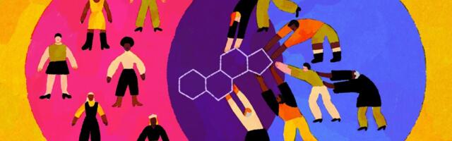 The testosterone theory of politics