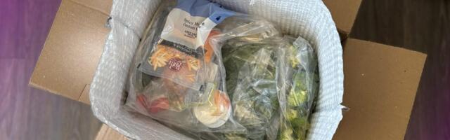 I Tested 10 Vegan and Vegetarian Meal Delivery Services. This Is the One I'd Spend My Own Money On