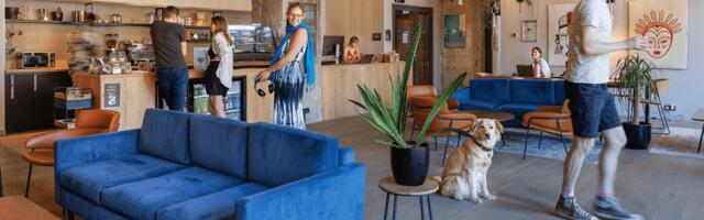 Five tips on coming together while working apart