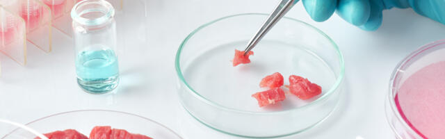 Government must beef up alternative meat investment – report