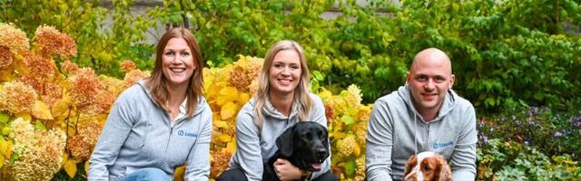 Lassie's preventative pet insurance is now available in France