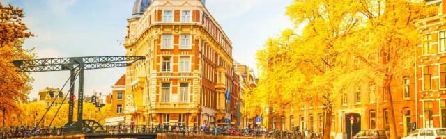 Amsterdam-based startups that raised funding in July 2025; 8 of them are hiring right now