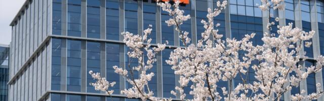 Is Alibaba setting up Qwen to be an AI super app?