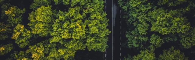 These are the startups chosen by MadBlue 2023 to achieve a more sustainable world